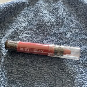 Burt's Bees Lip Crayon 417 Niagara Overlook Sealed